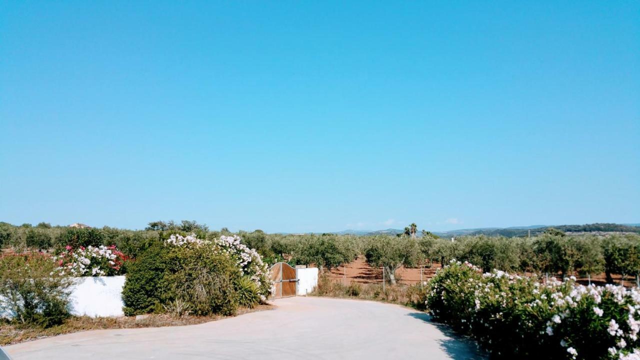 Villa Rafael Con Piscina, Iun P4098 Alghero Luaran gambar